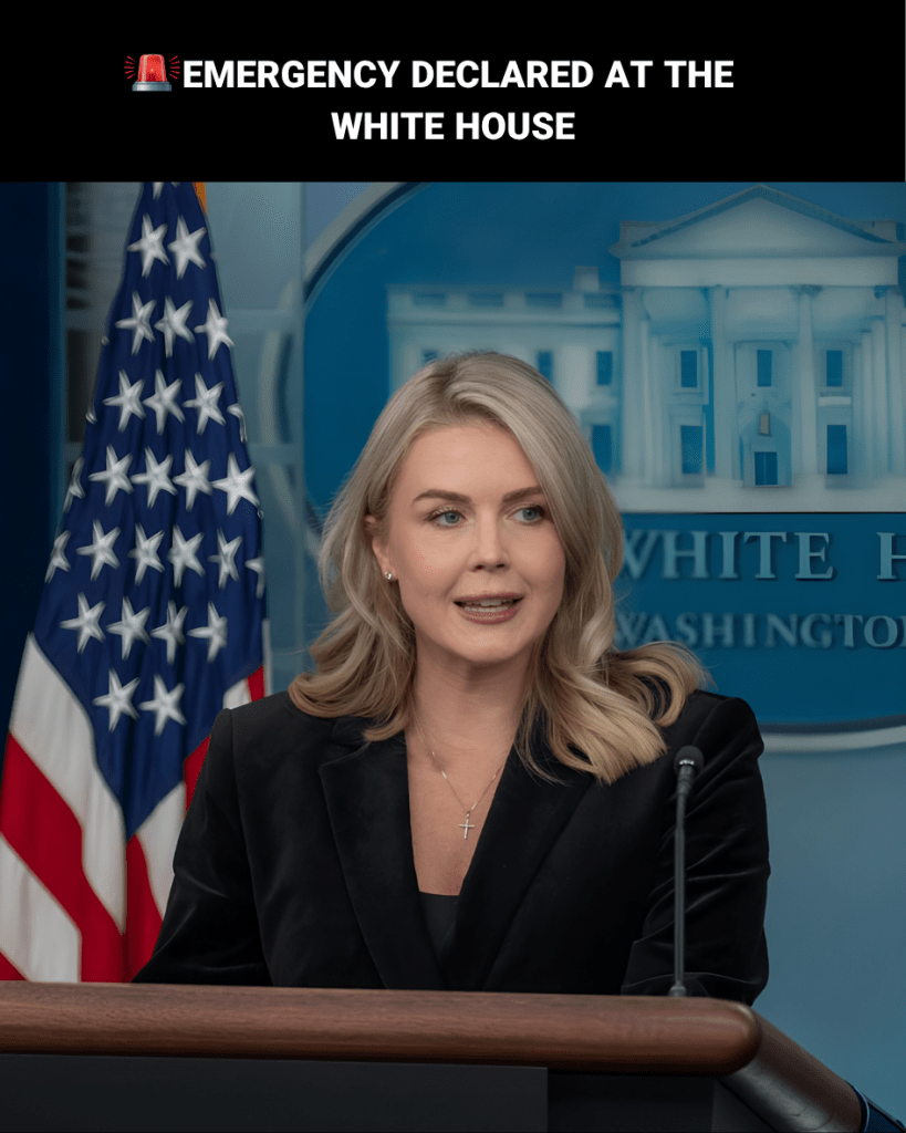Leavitt Sets Media Straight With Fact-Check On Joe Biden