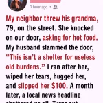 My Neighbor Threw His 79-Year-Old Grandmother Into the Street—What Happened Next Changed My Marriage Forever